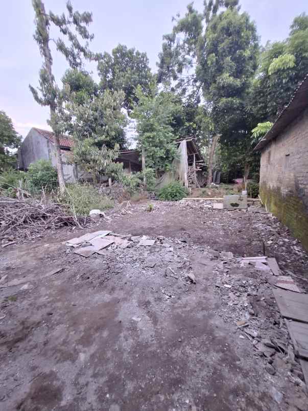 dijual rumah kalitirto