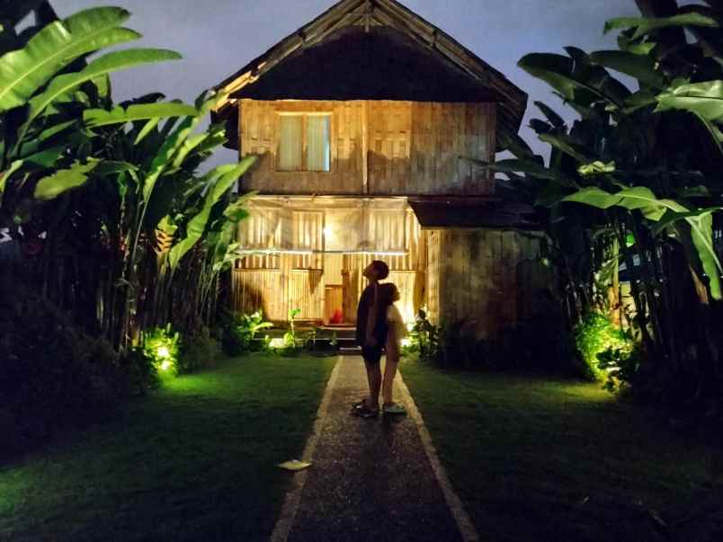 dijual rumah pancasari buleleng bali