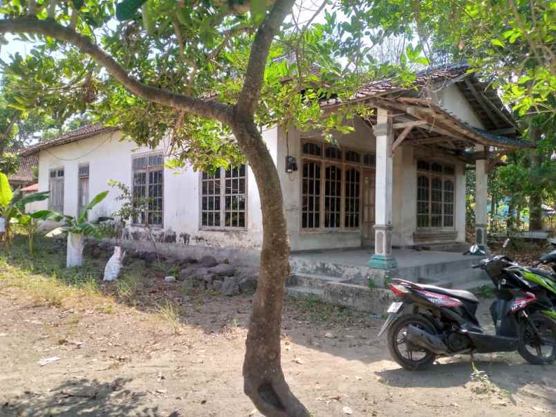 dijual rumah second nangsri manisrenggo