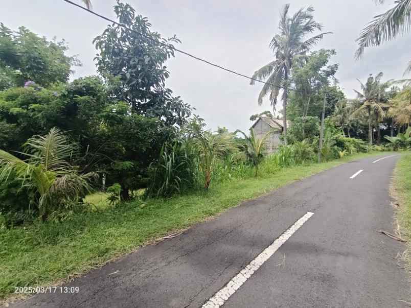 dijual tanah antap tabanan bali