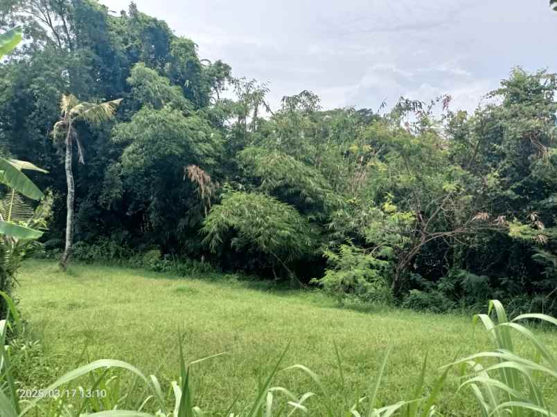 dijual tanah antap tabanan bali