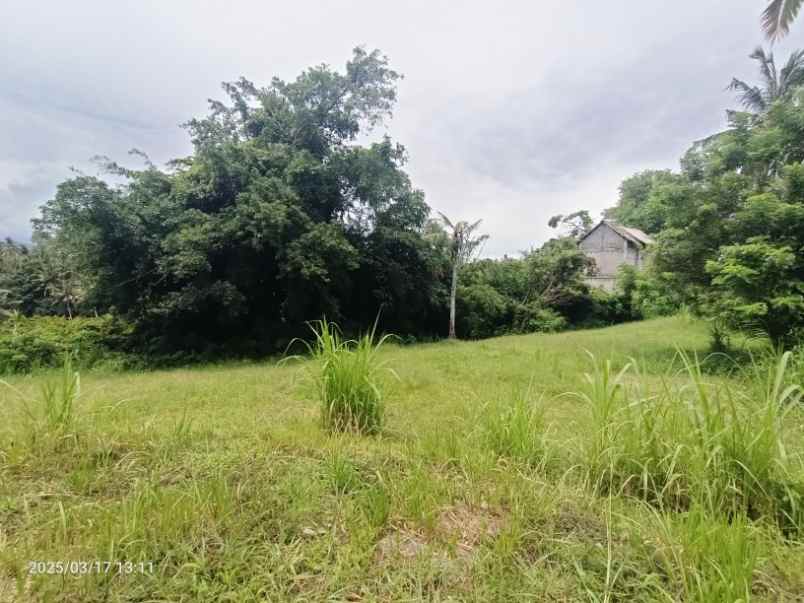 dijual tanah antap tabanan bali