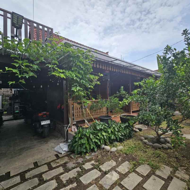 dijual tanah belakang plaza renon