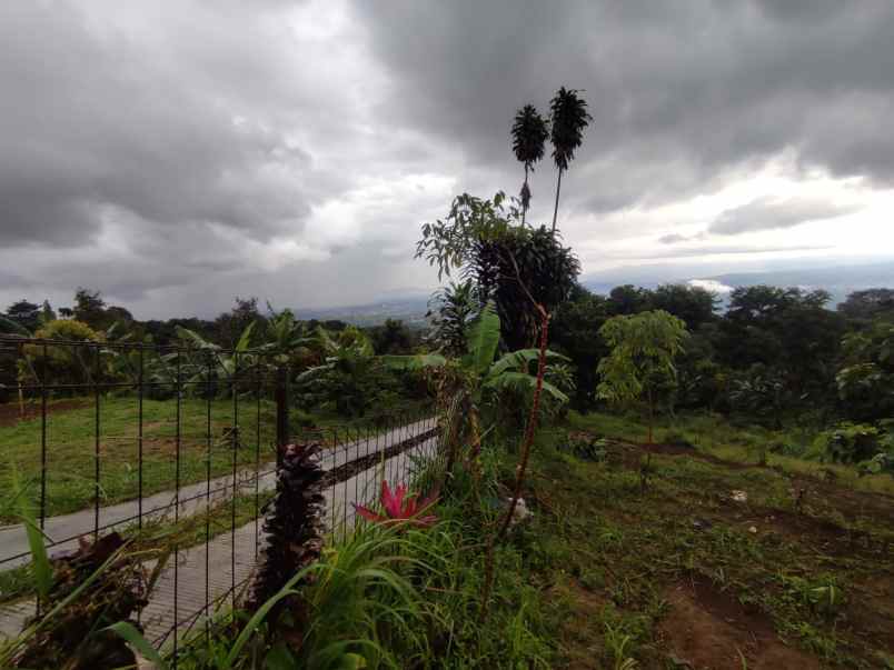 dijual tanah cijeruk tajur halang bogor
