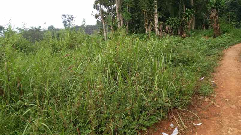 dijual tanah cikancung hilir