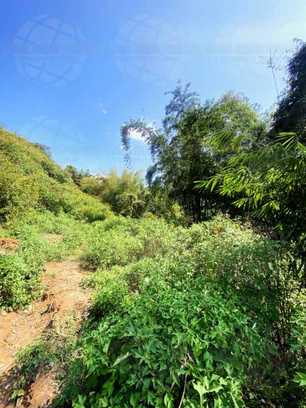 dijual tanah desa tlekung