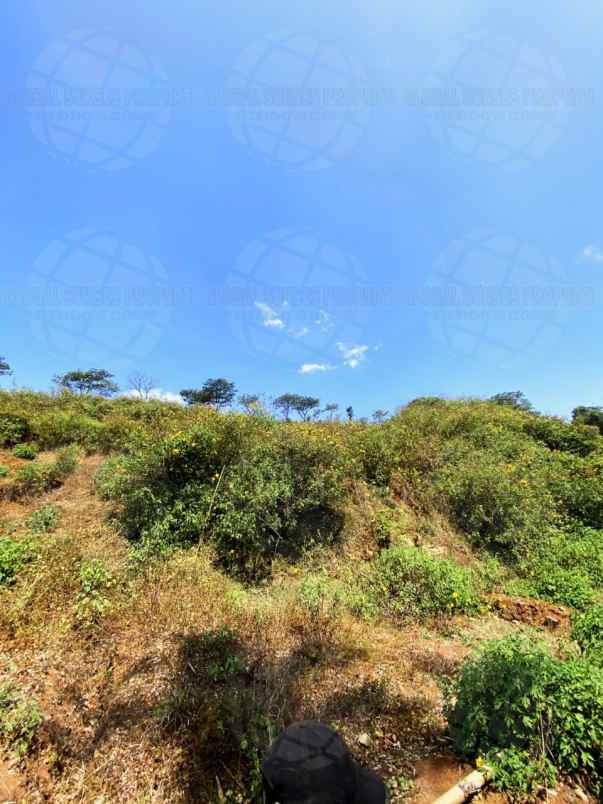 dijual tanah desa tlekung