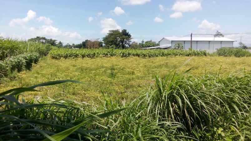 dijual tanah gurah kediri jawa timur