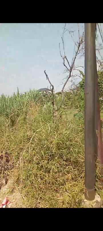 dijual tanah jalan raya lingkar utara