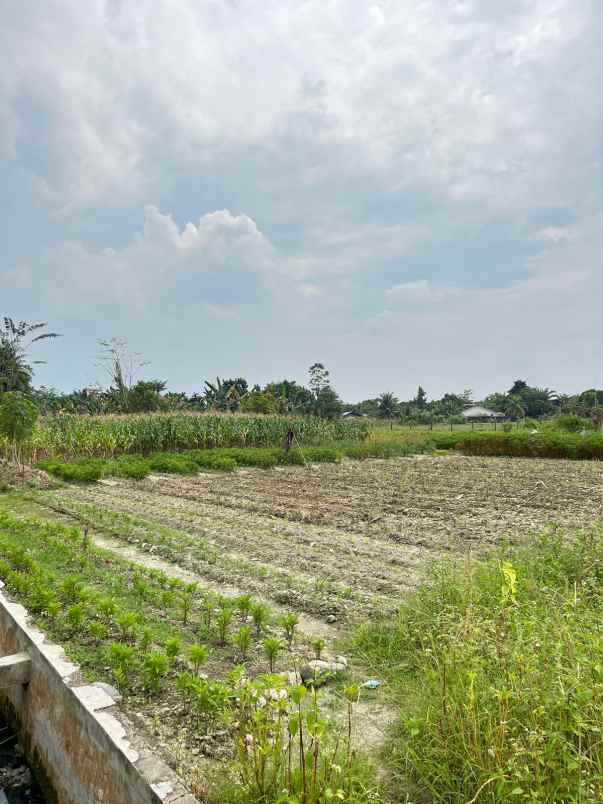 dijual tanah jjl bunga sedap malam