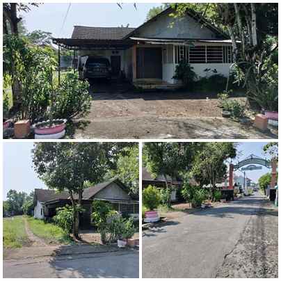 dijual tanah jl banjeng maguwoharjo