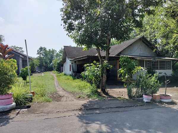 dijual tanah jl banjeng maguwoharjo