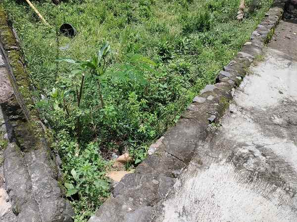 dijual tanah jl biji sidoarum sidomoyo