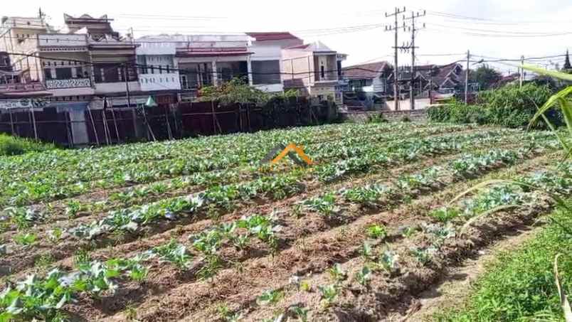 dijual tanah jl jamin ginting sempajaya