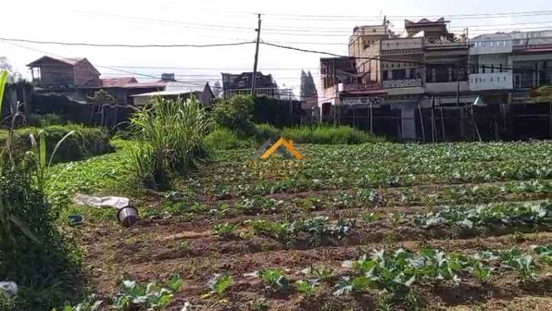 dijual tanah jl jamin ginting sempajaya