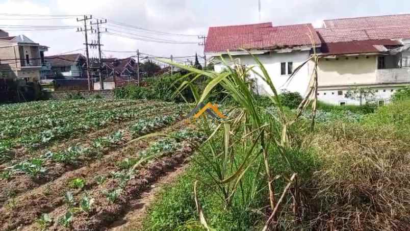 dijual tanah jl jamin ginting sempajaya