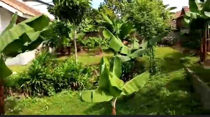 dijual tanah jl kayumanis raya depan