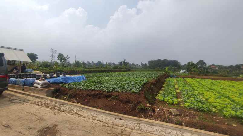 dijual tanah jl permana blok e8