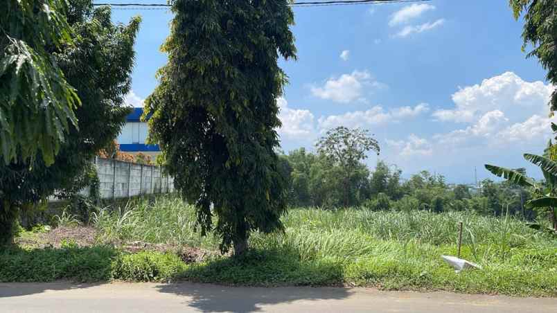 dijual tanah jl randuagung malang singosari