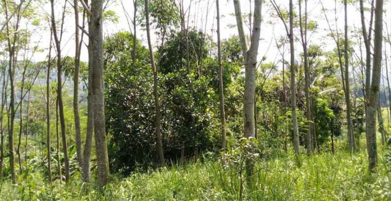 dijual tanah jl raya bandung garut