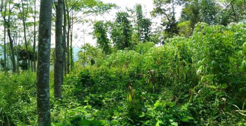 dijual tanah jl raya bandung garut