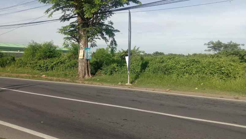 dijual tanah jl raya dengklok