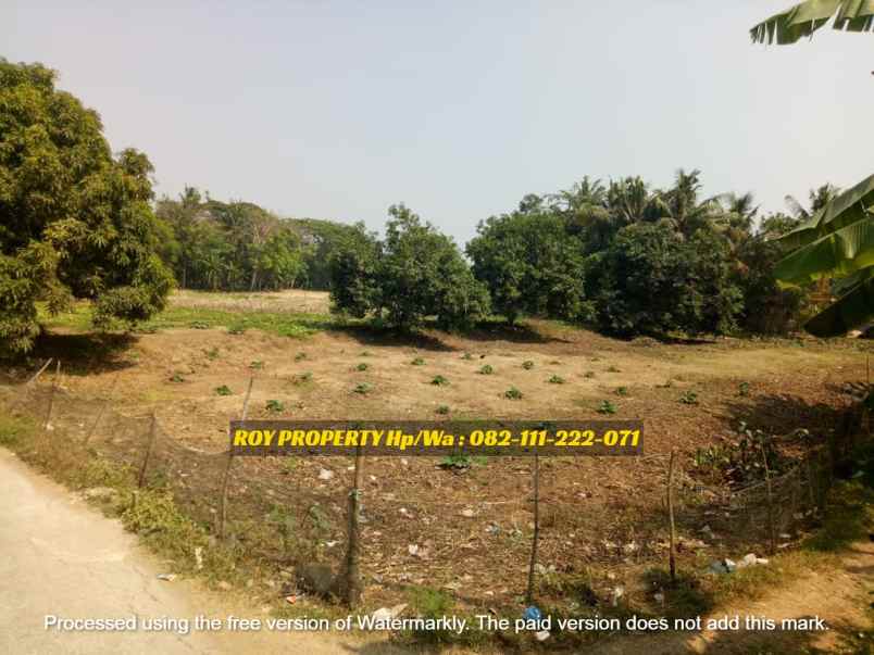 dijual tanah jl raya pakisjaya teluk