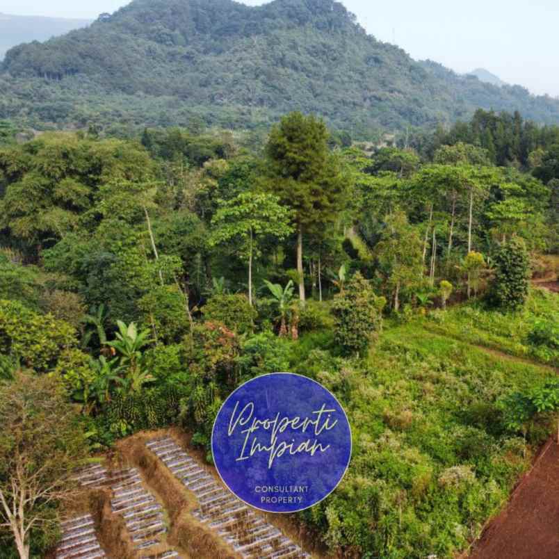 dijual tanah jl raya palasari kec