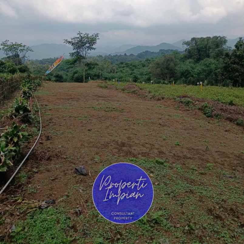 dijual tanah jl raya palasari kec