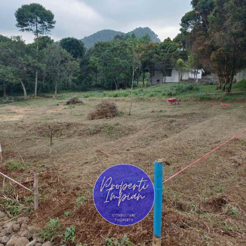 dijual tanah jl raya palasari kec