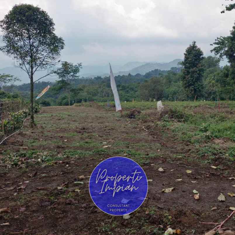 dijual tanah jl raya palasari kec