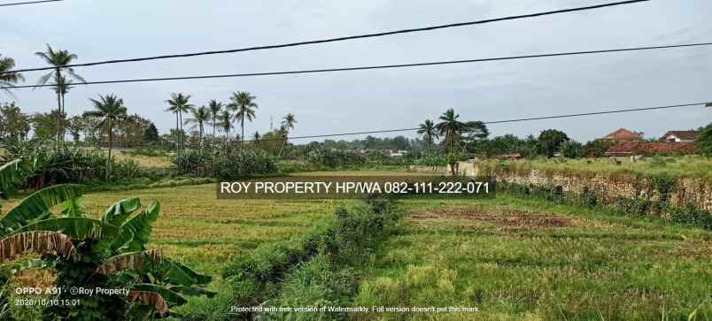 dijual tanah jl soekarno hatta rajabasa