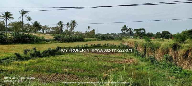 dijual tanah jl soekarno hatta rajabasa