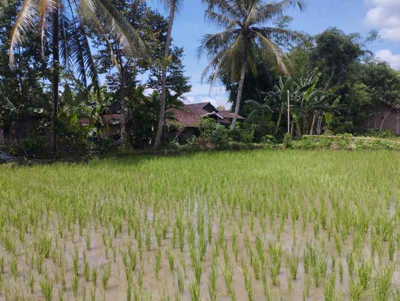 dijual tanah jl soekarno hatta sawitan