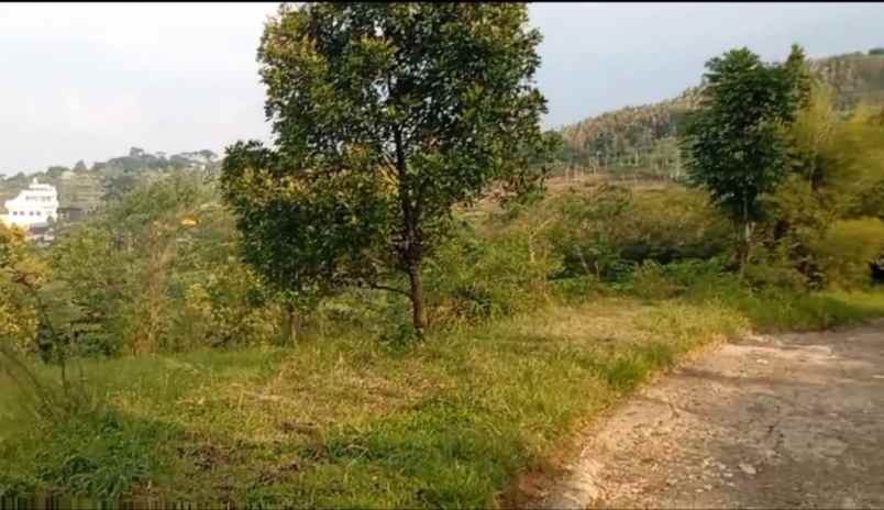dijual tanah jl tajur halang