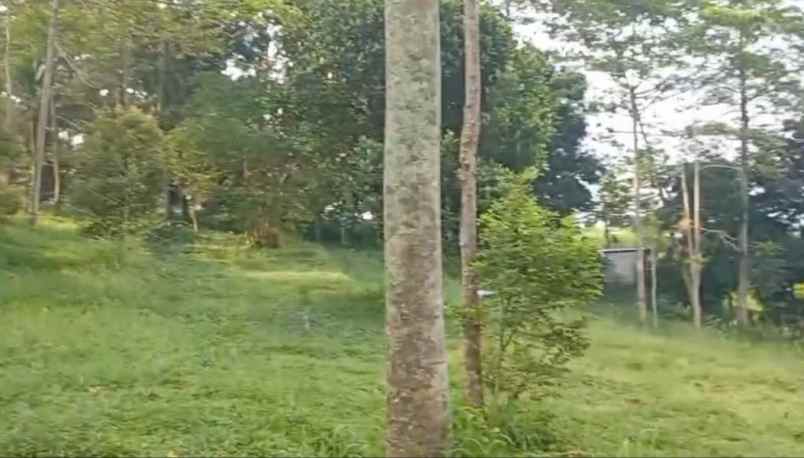 dijual tanah jl tajur halang
