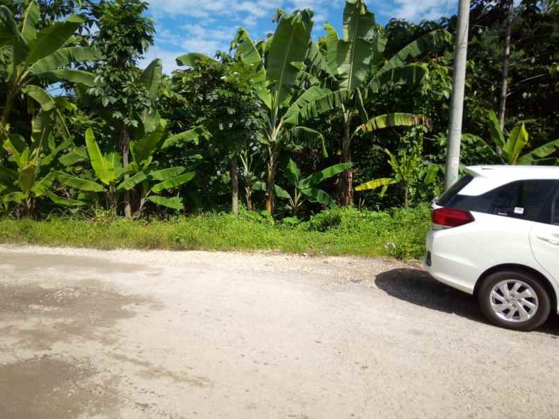 dijual tanah jln nasional iii pamucatan