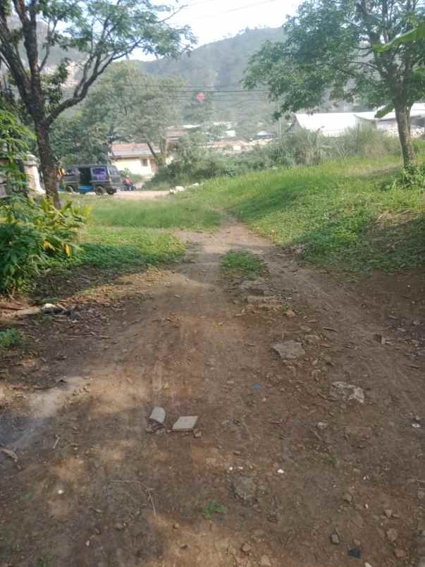 dijual tanah jln nasional iii pamucatan