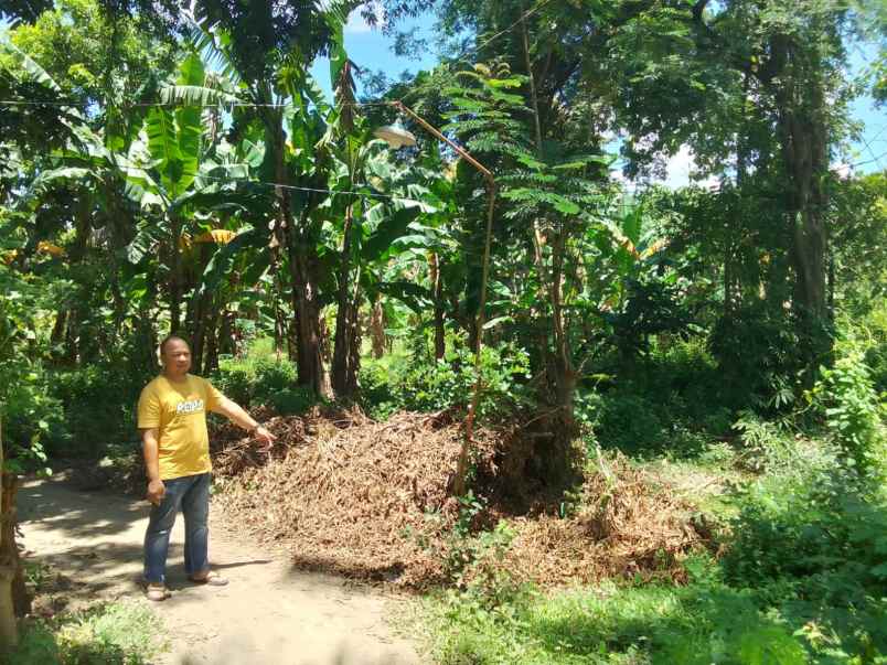 dijual tanah kawasan industri depan