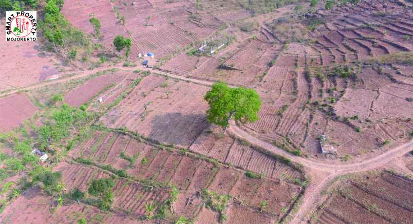 dijual tanah kawasan wisata pacet mojokerto
