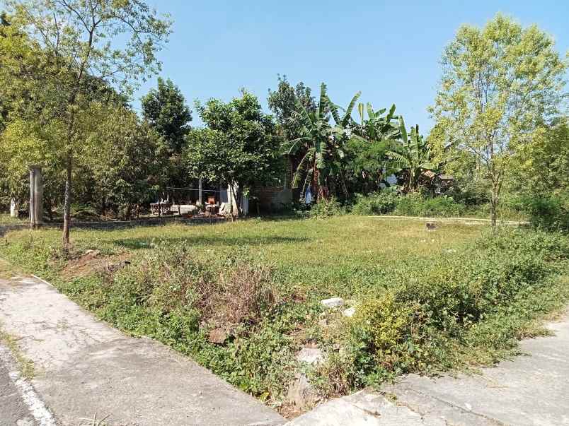 dijual tanah kedawung sragen