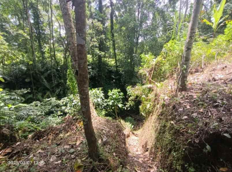 dijual tanah kenderan gianyar bali