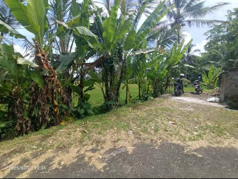 dijual tanah kenderan gianyar bali