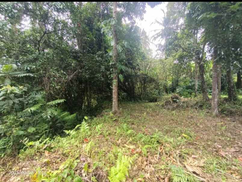 dijual tanah kenderan gianyar bali