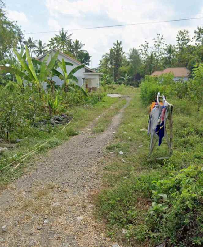 dijual tanah klatakan tanggul jember