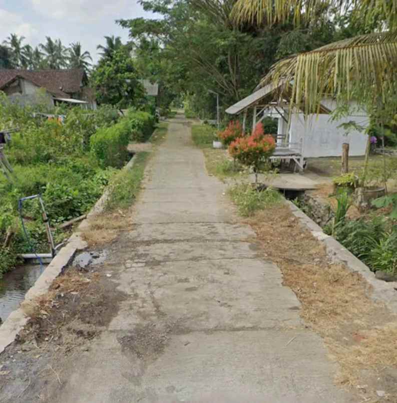 dijual tanah klatakan tanggul jember