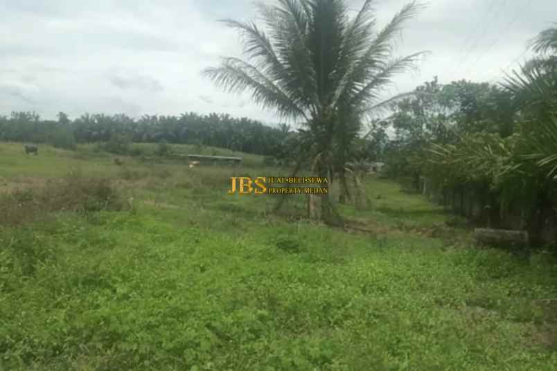 dijual tanah kosong di jalan glugur rimbun pasar x