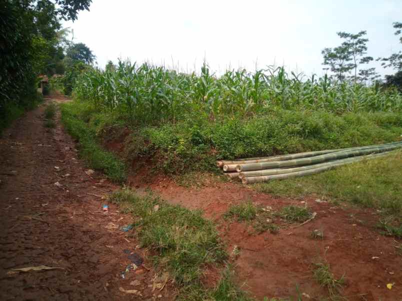 dijual tanah kp cinusa desa rende