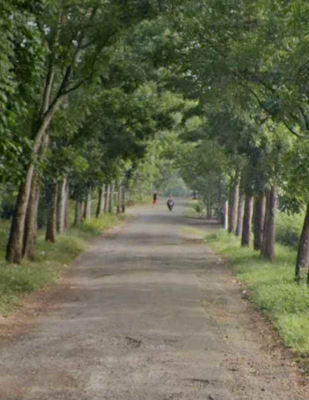 dijual tanah marengmang