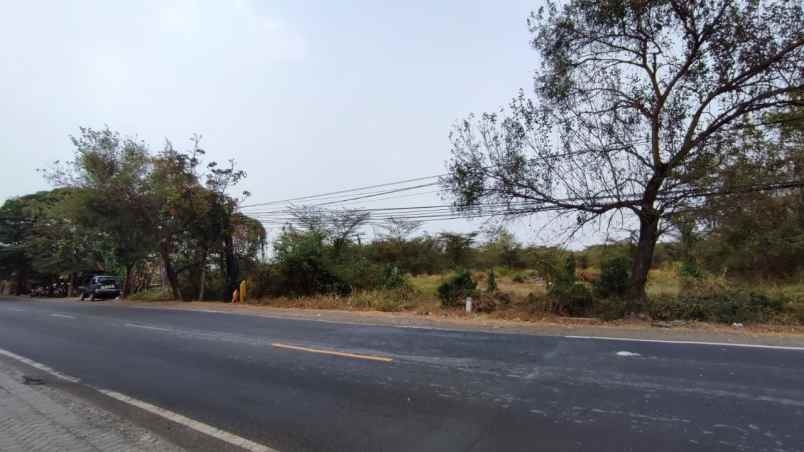 dijual tanah nol jalan raya geger cerme gresik